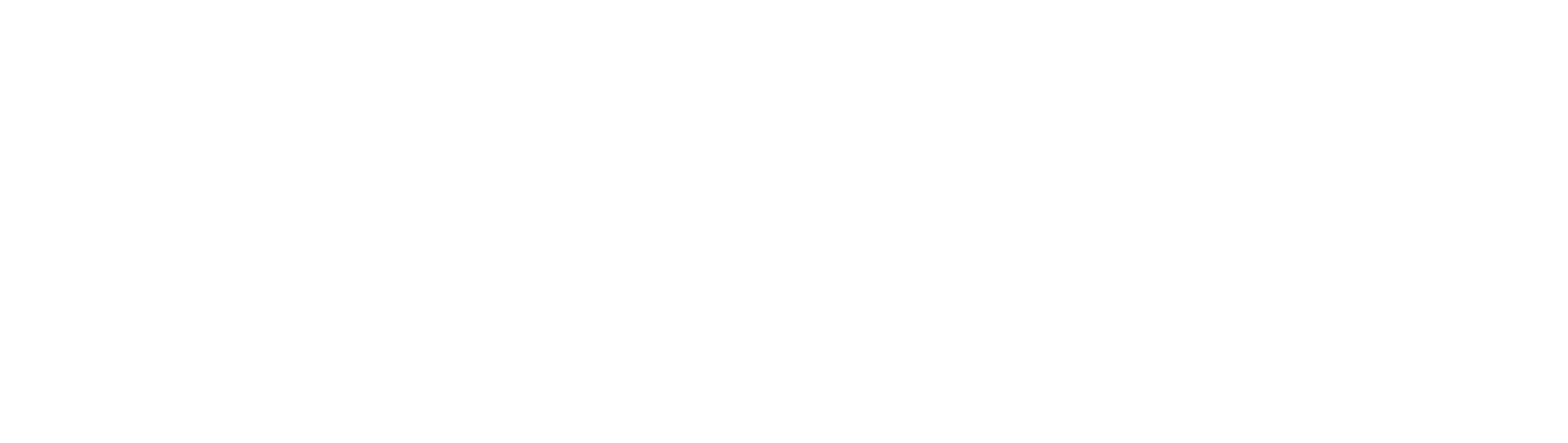 Financial Modeling Institute (FMI)